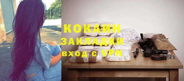 шишки Новодвинск