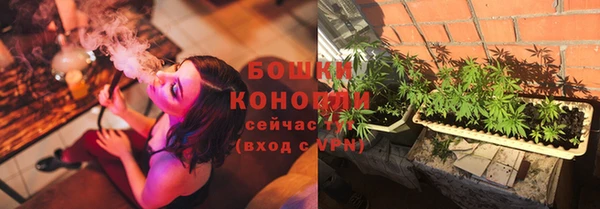дмт Надым