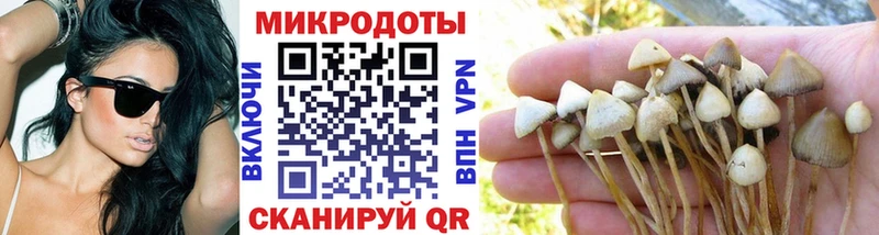Псилоцибиновые грибы Magic Shrooms  даркнет сайт  Лебедянь 